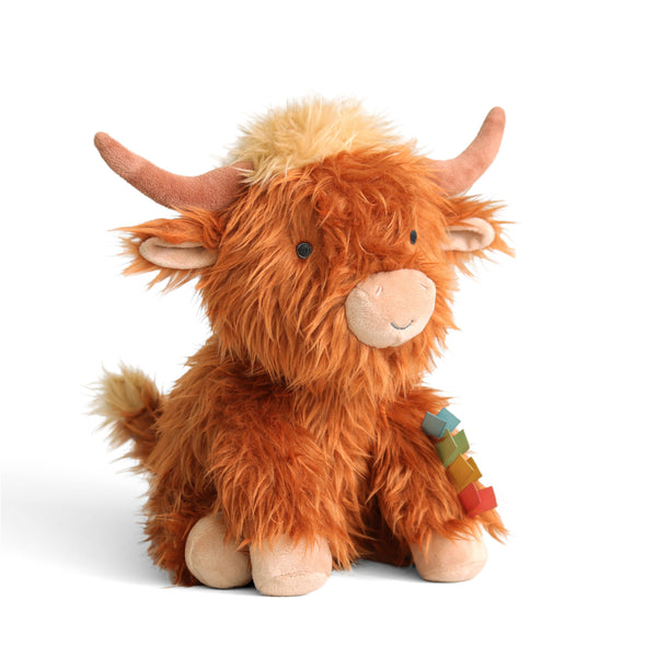 Highland Cow | Wyatt