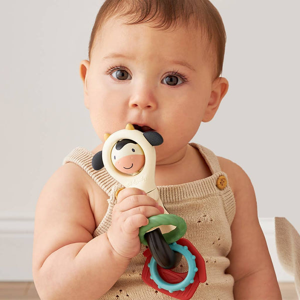 Itzy Ritzy - *NEW* Itzy Spinner™